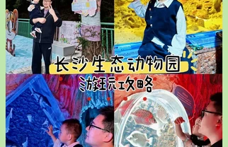 带娃逛长沙生态动物园，这条路线我会再走🐼