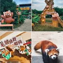 南京旅游 缩略图 18