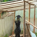 成都旅游 缩略图 10