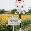 西安旅游 缩略图 5