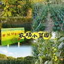成都旅游 缩略图 9