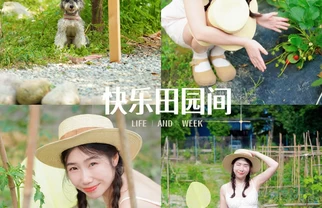 彭镇藏了个宝藏农场！包粽子遛娃撸宠躺平
