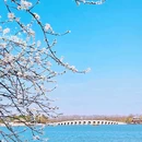 颐和园 - 北京市旅游 缩略图 3