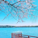 颐和园 - 北京市旅游 缩略图 4