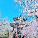 颐和园 - 北京市旅游 缩略图 6
