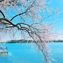颐和园 - 北京市旅游 缩略图 7
