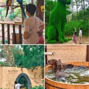 南京旅游 缩略图 15