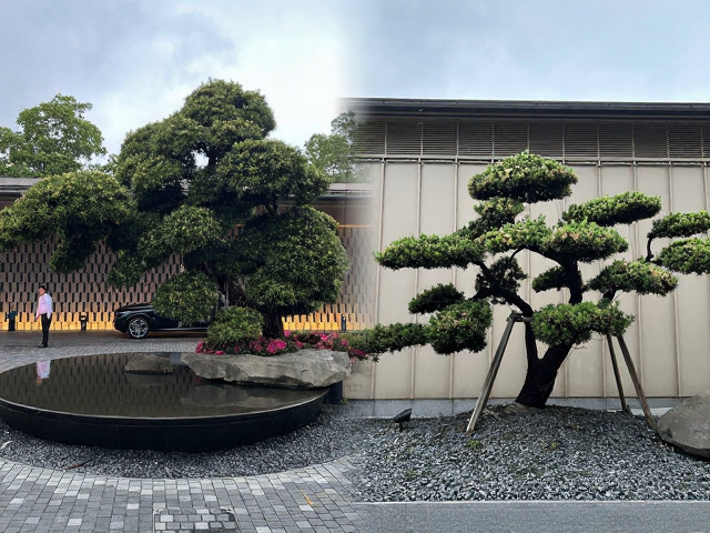 苏州旅游