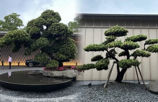 苏州狮山疗愈酒店🏨去山林充电