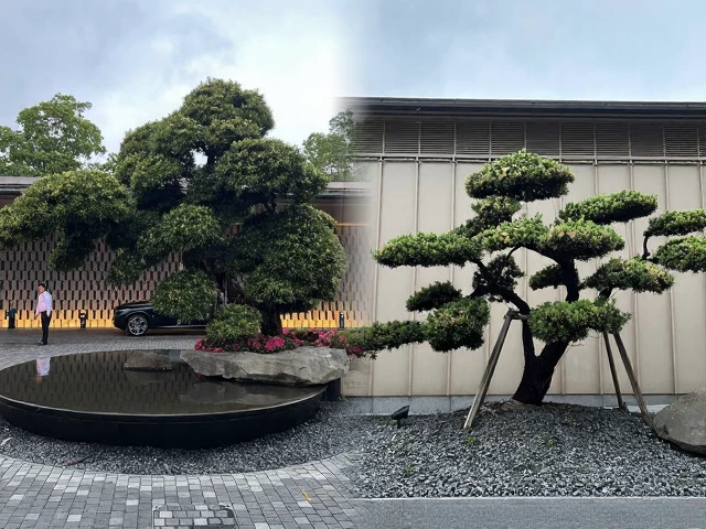 苏州旅游 1