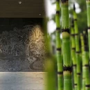 苏州旅游 缩略图 4