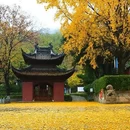 南京旅游 缩略图 17