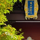 南京旅游 缩略图 5