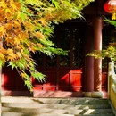 南京旅游 缩略图 3