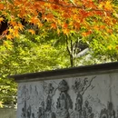 南京旅游 缩略图 11