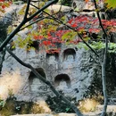南京旅游 缩略图 9