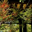 南京旅游 缩略图 2