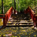 南京旅游 缩略图 12