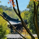 南京旅游 缩略图 8