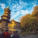 南京旅游 缩略图 16