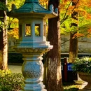 南京旅游 缩略图 6