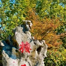 南京旅游 缩略图 14