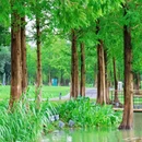 东钱湖风景名胜区 - 宁波市旅游 缩略图 5