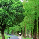 东钱湖风景名胜区 - 宁波市旅游 缩略图 2