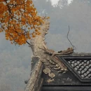 南京旅游 缩略图 1