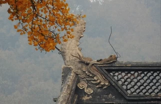 南京栖霞寺不只红枫，红墙银杏更惊艳