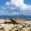 三亚旅游 缩略图 5