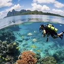 重庆旅游 缩略图 1