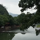 杭州旅游 缩略图 5