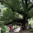 杭州旅游 缩略图 11