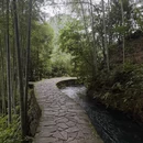 杭州旅游 缩略图 9