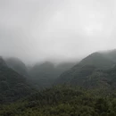 杭州旅游 缩略图 3