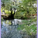 剑川石宝山景区 - 大理白族自治州旅游 缩略图 17
