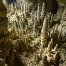 毕节旅游 缩略图 3