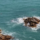 深圳旅游 缩略图 4