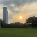 深圳旅游 缩略图 6