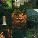 深圳旅游 缩略图 1