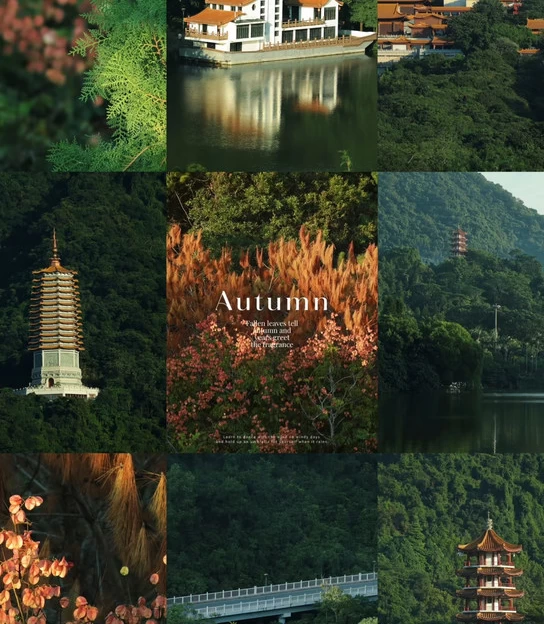 深圳旅游 1