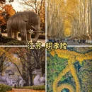 北京旅游 缩略图 8