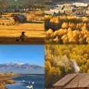 阿勒泰地区旅游 缩略图 2