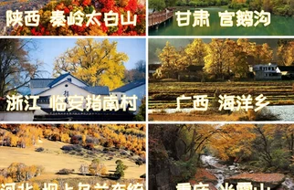 国内8个初秋赏秋秘境，锁住秋日浪漫✨