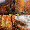 北京旅游 缩略图 7