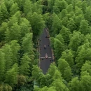 湖州旅游 缩略图 13