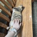 杭州旅游 缩略图 2