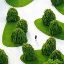 湖州旅游 缩略图 14