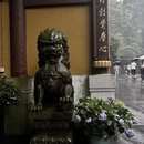 杭州旅游 缩略图 6